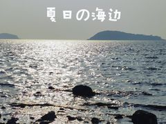 -平湖九龙山旅游度假区