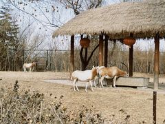 -济南野生动物世界