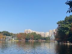 -荔湾湖公园