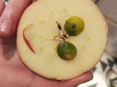 -韵姐牛奶甜品世家
