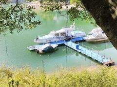 -广州市流溪河国家森林公园