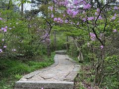 -庐山风景名胜区