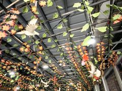 -鸽鸟轩(石岐店)