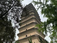 -西安博物院