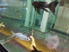 -北海金昌开元名都大酒店·四季轩中餐厅