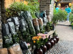 -园林美食城·本土农家菜(杨和镇店)