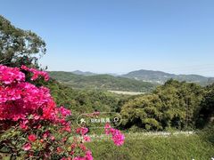 -广州市帽峰山景区