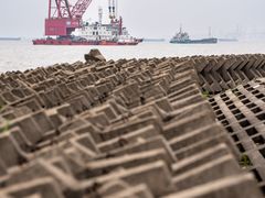 -上海滨江森林公园