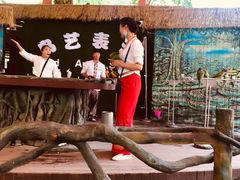 -西双版纳原始森林公园