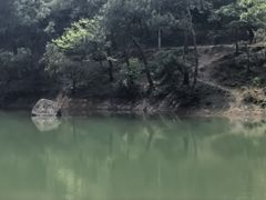 -南京市无想山景区