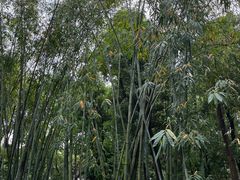 -成都杜甫草堂博物馆