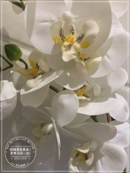 -LJOY丽锦造型·烫发染发