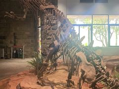 -自贡恐龙博物馆