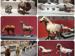 -陕西历史博物馆