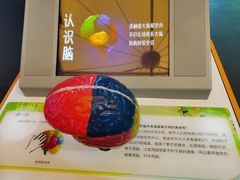 -松江科技馆