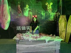 -巨鹏飞梦幻海岸