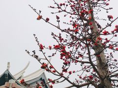 -集美鳌园景区