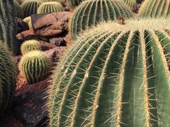 -南通洲际绿博园