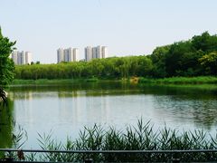 -大兴滨河森林公园