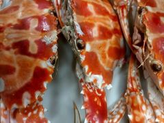 -阿弟特色海鲜餐厅·大排档(平潭店)