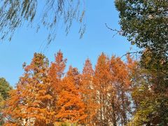 -苏州河梦清园环保主题公园