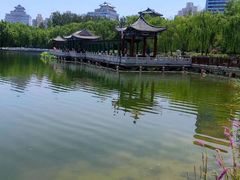-莲花池公园