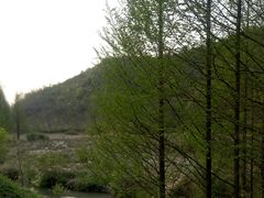 -孝丰南门锅贴(南街店)