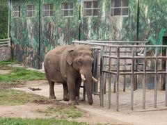 -西安秦岭野生动物园