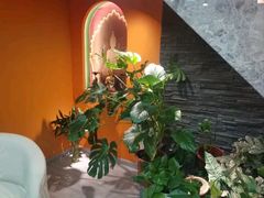 -泰古龙抓龙筋·spa按摩(静安店)