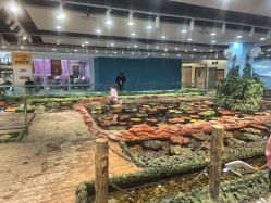 -钓虾工场·钓虾·赶海(回龙观店)