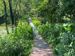 -西溪国家湿地公园