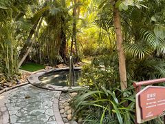 -碧桂园润杨溪谷温泉酒店