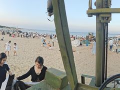 -日照海滨国家森林公园