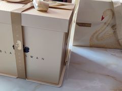 -BLACKSWAN黑天鹅(环球店)