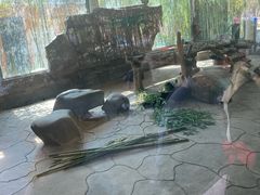 -宁波野生动物园