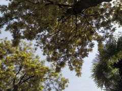-四川大学(望江校区)
