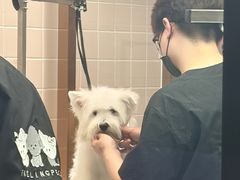 -FAELING PETS美天灵宠物(富力广场店)
