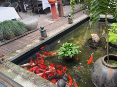 -野蔓果·山野菜(西湖景区·龙井茶田店)