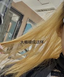 -禾里設計