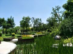 -武清南湖绿博园