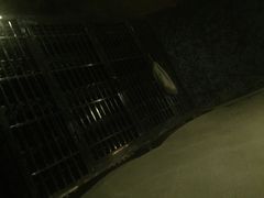 -绿岛汤泉韩式休闲会所