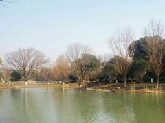 -昆山城市生态森林公园