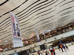 -冰纷万象滑冰场(沈阳万象城店)