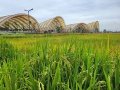 -中国天府农业博览园