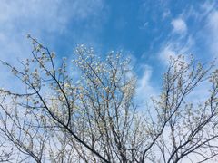 -樱桃山旅游景区