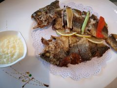 -骏莱海鲜鱼港(五角场店)