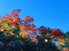 -香山公园