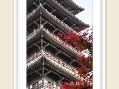 -宜兴龙背山森林公园