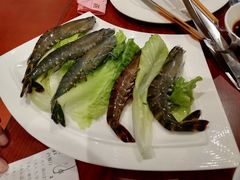 -君豪大酒店-东海渔村中餐厅