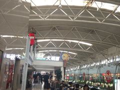 -乐港休闲馆茶艺·简餐·茶室(首都机场T2店)